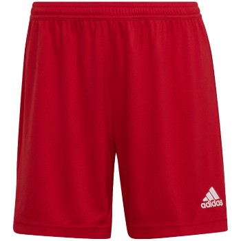Adidas Tiro 24 (czerwony)
